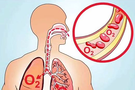 oxygen in human life